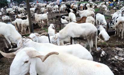 Image result for Eid-el-Kabir: FG Declares Friday, Monday Public Holidays